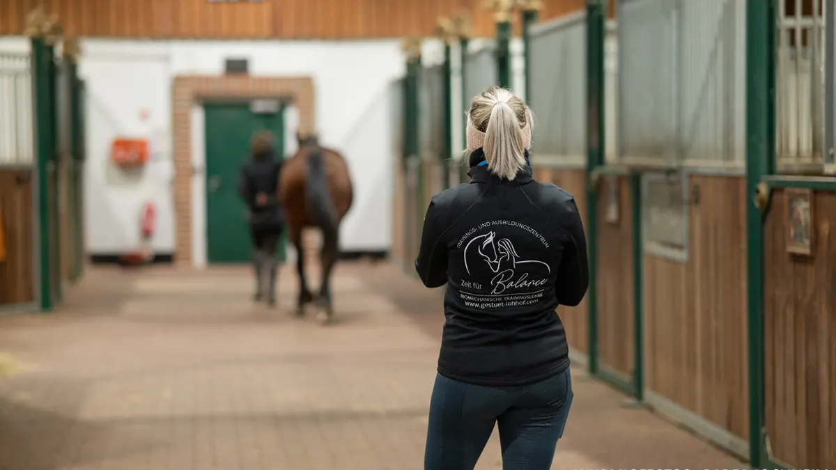 Workshop 1_Grundlagen Pferdetraining