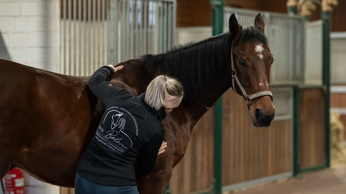 Workshop verstehen statt nur zu behandeln